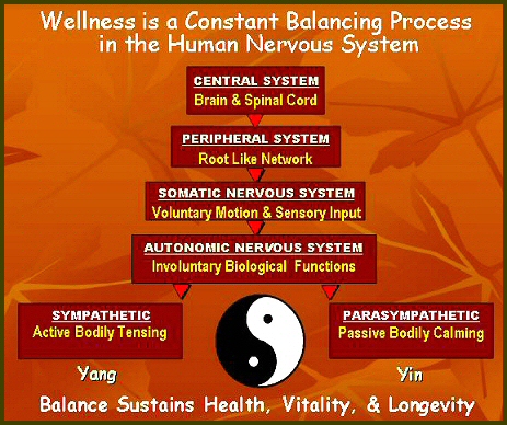 BalanceYinYang.jpg - 179725 Bytes