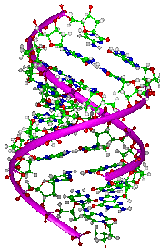 Meditation, DNA Mollecule, and Neuron Cell Potential