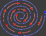 Quantum Dynamics and Neuron Cell Memory Functions